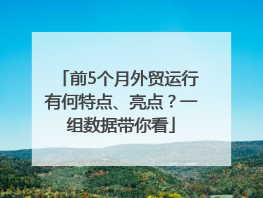 前5个月外贸运行有何特点、亮点？一组数据带你看